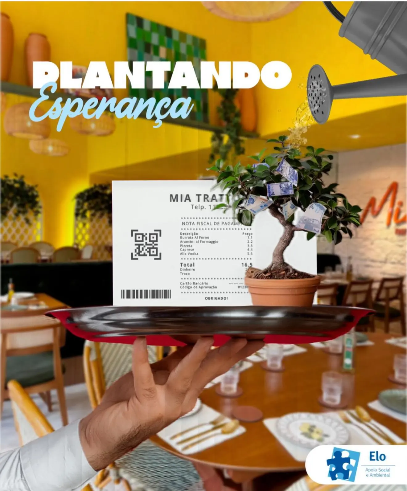 Alimentando a Esperança